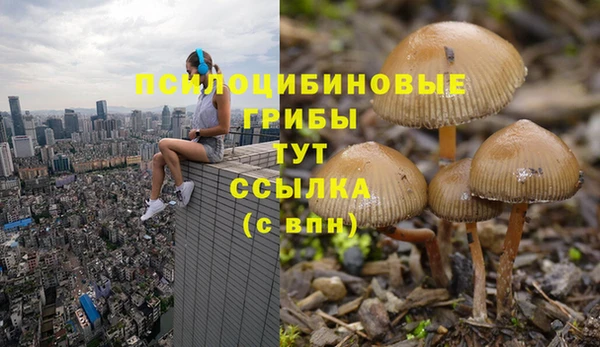 Альфа ПВП Каменка