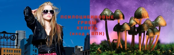 Альфа ПВП Каменка