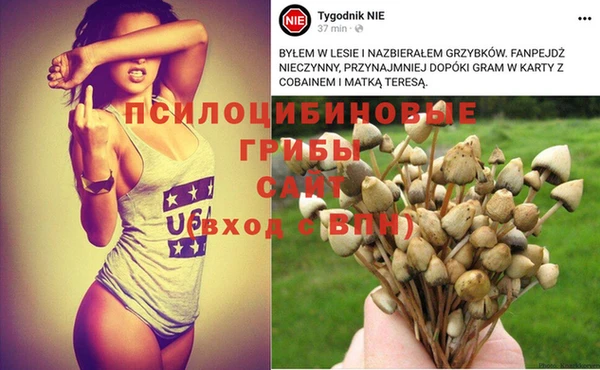 Альфа ПВП Каменка