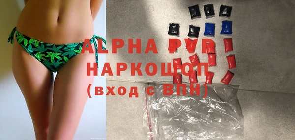 Альфа ПВП Каменка