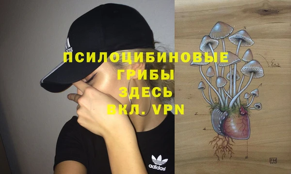Альфа ПВП Каменка